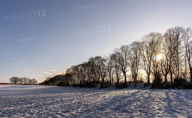Winter landscape, fields and fields in Berlin Lübars, a village in Berlin Reinickendorf, Germany