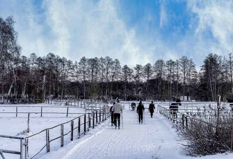 Athletes in winter in the midst of fields and fields in Berlin Lübars, Reinickendorf District, Germany