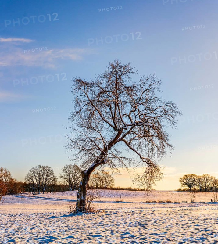 Winter landscape, fields and fields in Berlin Lübars, a village in Berlin Reinickendorf, Germany