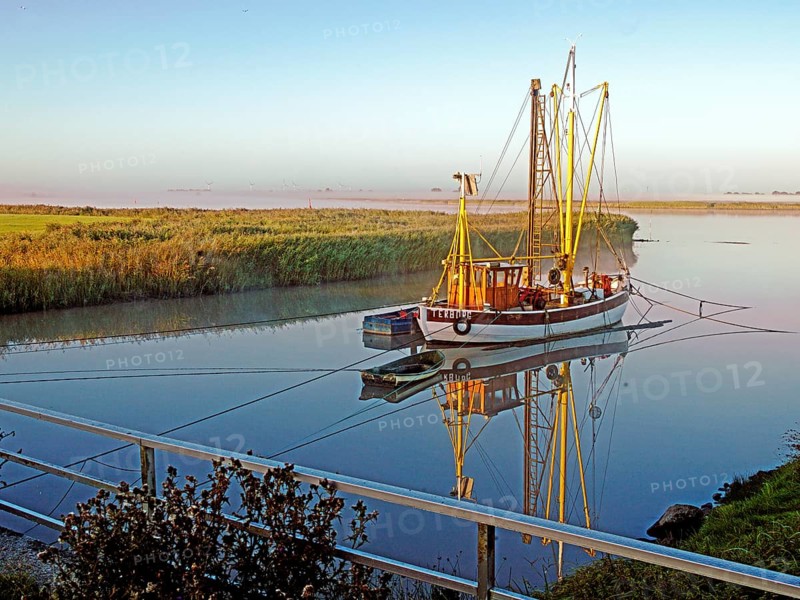 Emsfischereiboot, cutter, Diana, river, Ems, dammed up, flood, morning light, Terborg, East Frisia, Germany