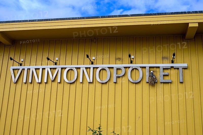 Yellow building of the Norwegian state wine monopoly with sign and floodlights and a breeding kittiwake (Rissa tridactyla) in the sign, blue sky, Båtsfjord, Finnmark, Norway