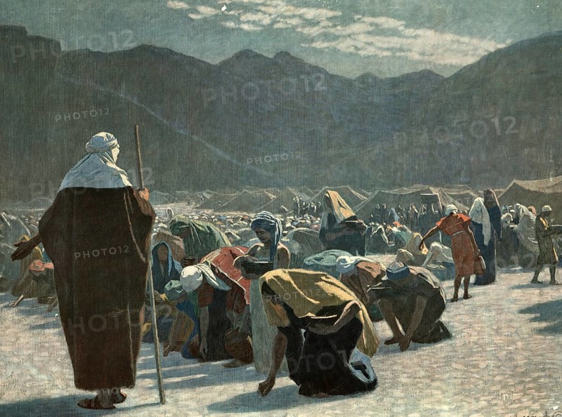 Scene from the biblical story, manna, described a miraculous food that God gave to the people of Israel in the desert, authentic reproduction of a school mural, historical, around 1900