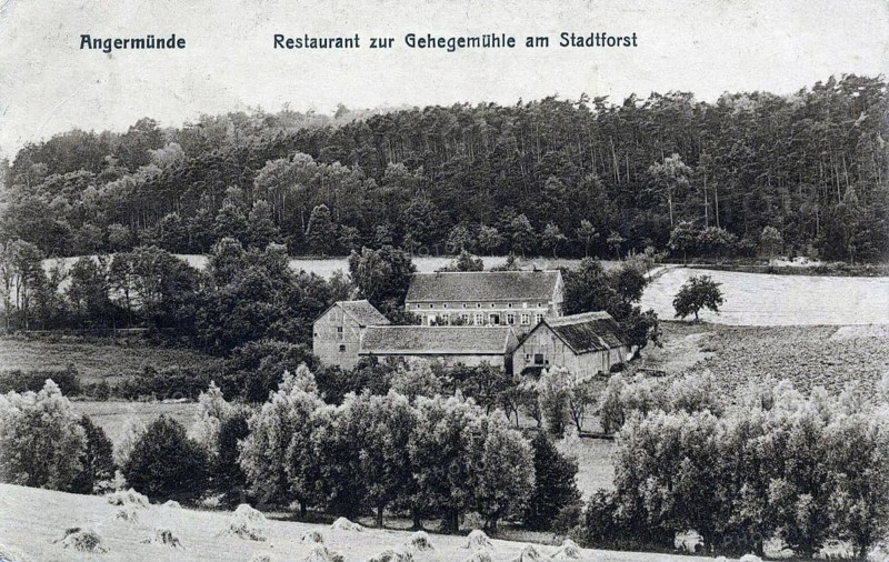 Angermünde, restaurant am Stadtforst, district of Uckermark in the state of Brandenburg, Germany, postcard, view around 1900 - 1910, historical, digital reproduction of a historical postcard, authentic, public domain, from that time, exact date unknown