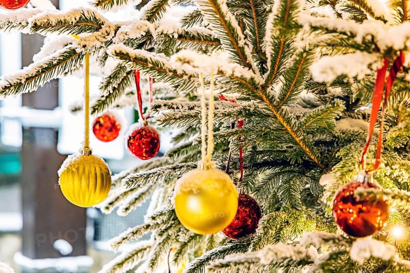 Christmas tree in the snow. The decorative glass balls are covered with hoarfrost. Westerheim, Baden-Württemberg, Germany