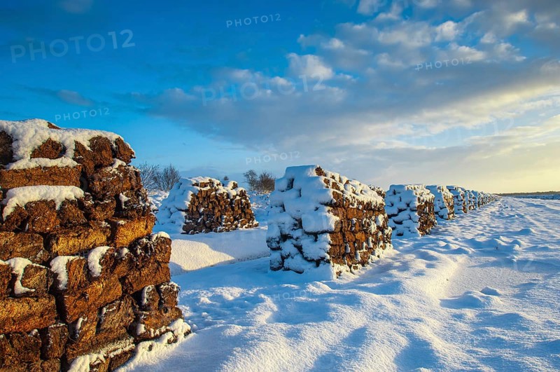 Peat cut in sod in a wintry moor, Goldenstedt, Lower Saxony, Germany