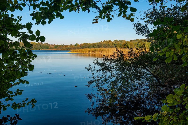 Shore of Schaalsee, Zarrentin, Mecklenburg-Western Pomerania, Germany