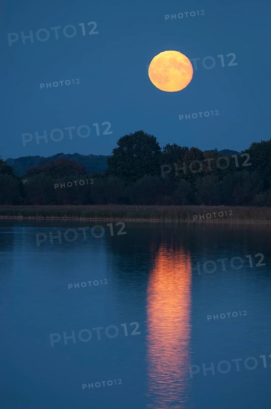 Rising full moon on the shores of Schaalsee, Zarrentin, Mecklenburg-Western Pomerania, Germany