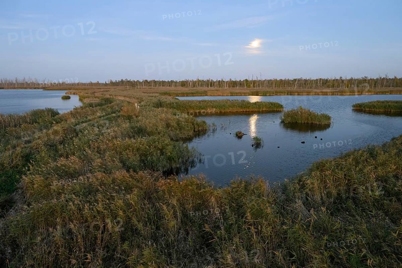 Wide moor landscape with water areas and reeds under moonlight, Anklamer Stadtbruch, Bugewitz, Mecklenburg-Western Pomerania, Germany