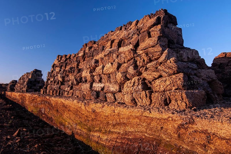 Peat in winter moor, Goldenstedt, Lower Saxony, Germany