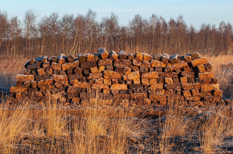 Peat cut in sod in a wintry moor, Goldenstedt, Lower Saxony, Germany