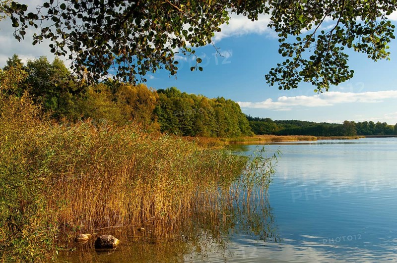 Shore of Schaalsee, Zarrentin, Mecklenburg-Western Pomerania, Germany