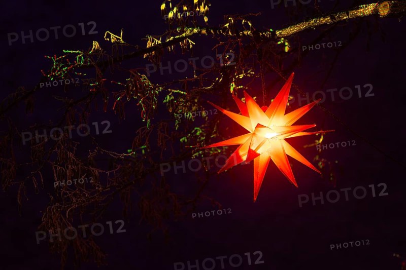 Shining stars on a tree, Raunacht, winter, Waldburg Castle, Waldburg, Allgäu, Baden-Württemberg, Germany