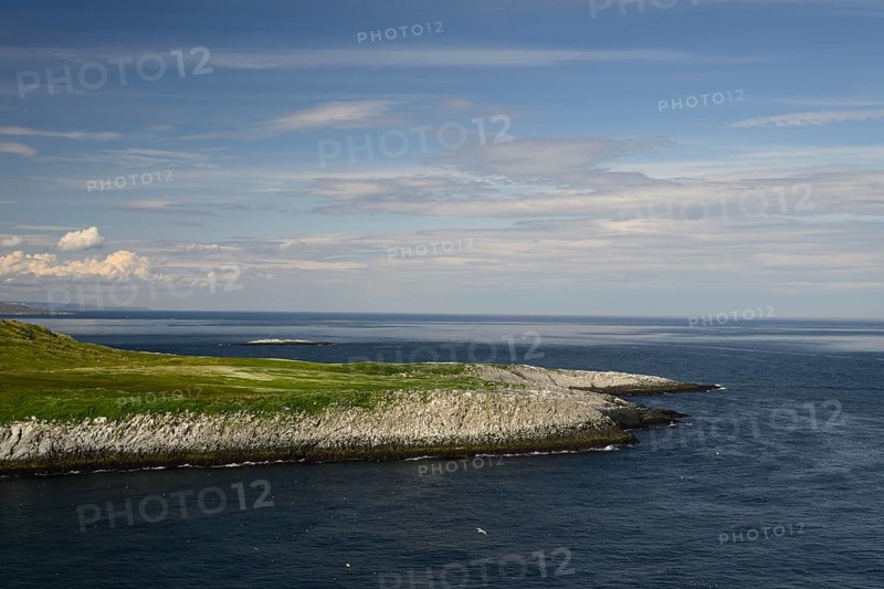 Coast with green vegetation and blue sea on the Barents Sea Varangerfjord under a wide sky with some clouds, Vardø, Finnmark, Norway