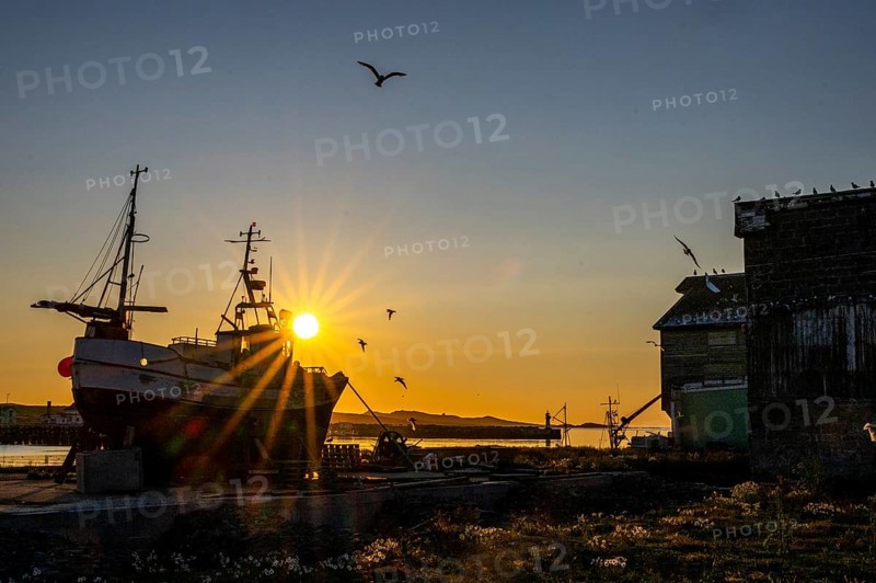 A fishing ship at sunset on the coast with flying birds and warm colors in the old port of Vardö, Vardø, Finnmark, Norway