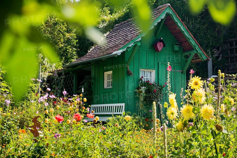Green garden shed and summer flower garden, allotment garden, Meersburg, Lake Constance, Baden-Württemberg, Germany