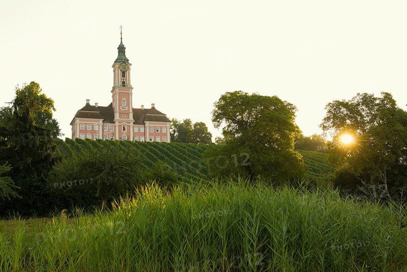 Birnau pilgrimage church and vineyards, sunrise, Uhldingen-Mühlhofen, Lake Constance, Baden-Württemberg, Germany