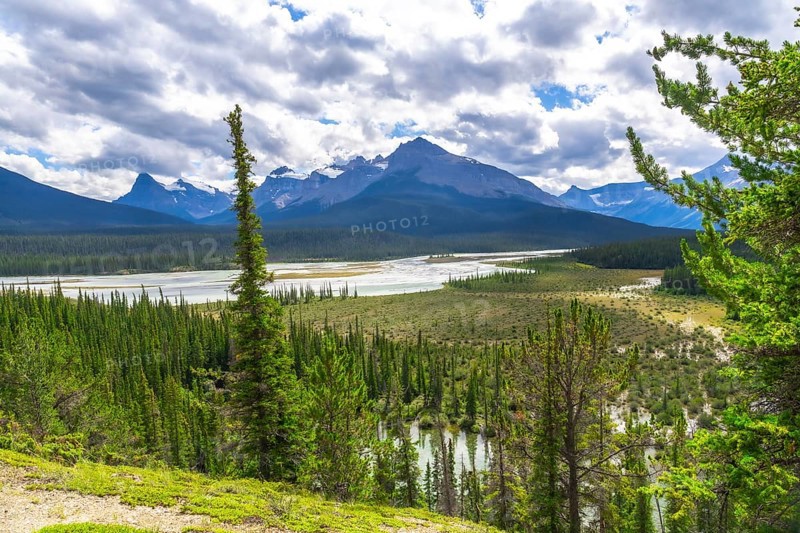 Coniferous forests and river wetlands stretching across the landscape in banff national park, alberta, showcase the stunning canadian rockies under a partly cloudy sky