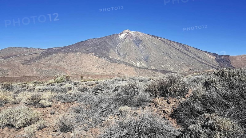 Impressive Teide volcano in a dry landscape under clear skies, La Orotava, Tenerife