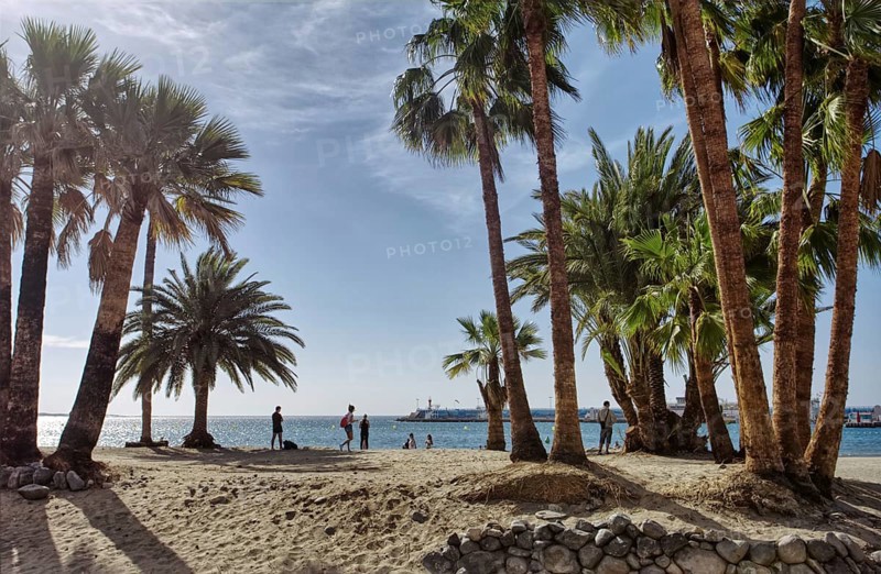 Scenic tropical beach landscape with palm trees, people and a calm sea under clear skies, Los Cristianos, Tenerife