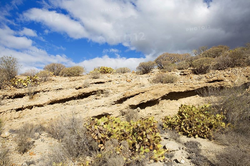 Barren desert landscape with sporadic vegetation under a partly cloudy sky, Los Cristianos, Tenerife