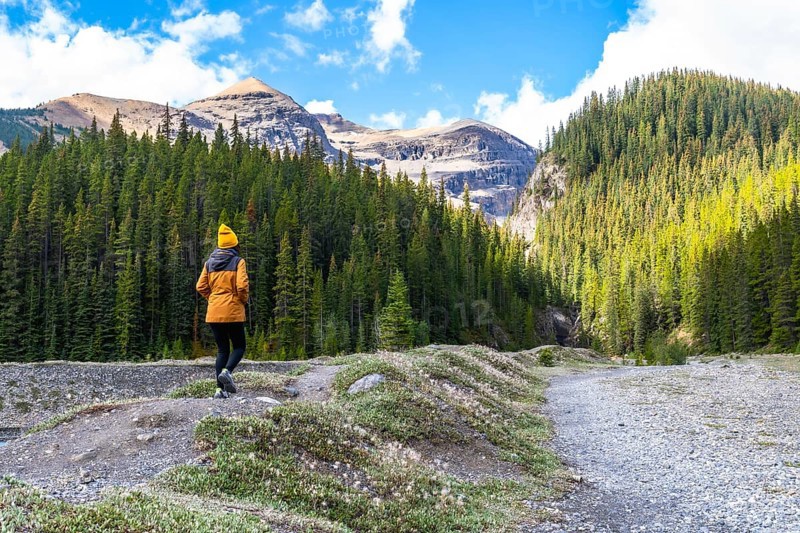 Female hiker walking along the ci fuentes path on a waterfall trail, admiring the stunning mountain landscape of the canadian rockies in banff national park during autumn
