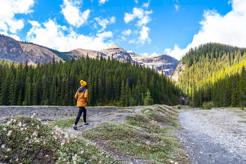 Female hiker walking along the ci fuentes path waterfall trail enjoying the scenic view of the canadian rockies mountains and coniferous forest in banff national park, alberta