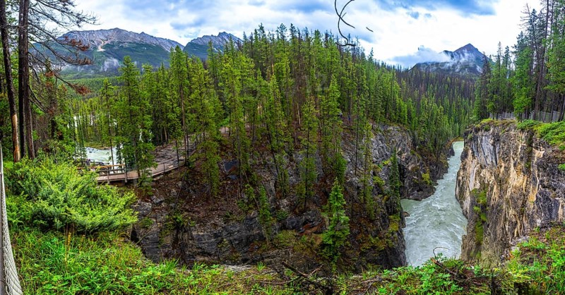Sunwapta falls cascading through a rugged canyon, surrounded by lush forests and majestic canadian rockies, creates a breathtaking panorama of nature's power and beauty