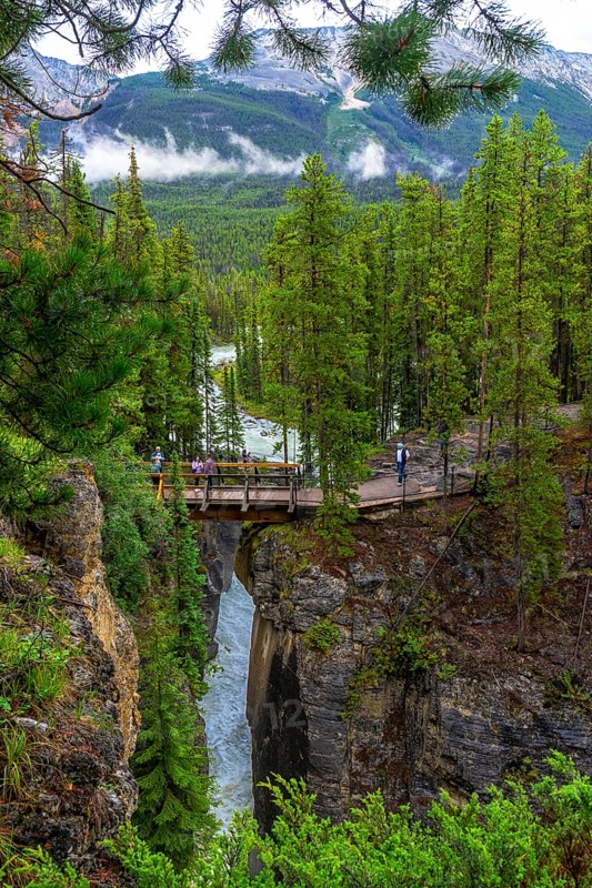 Tourists walking on a bridge over sunwapta falls in jasper national park, alberta, canada, enjoy breathtaking views of the waterfall cascading into the gorge below