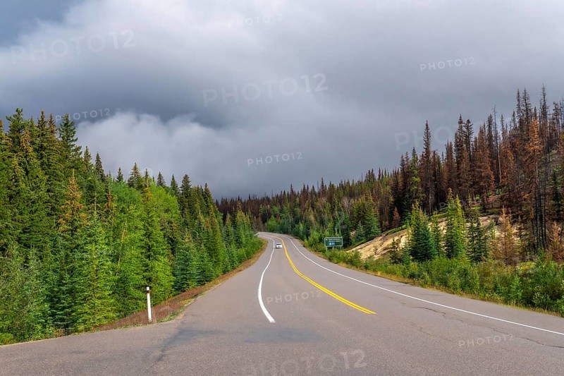 Icefields parkway winding through a coniferous forest under a cloudy sky, showcasing the natural beauty of banff national park in the canadian rockies