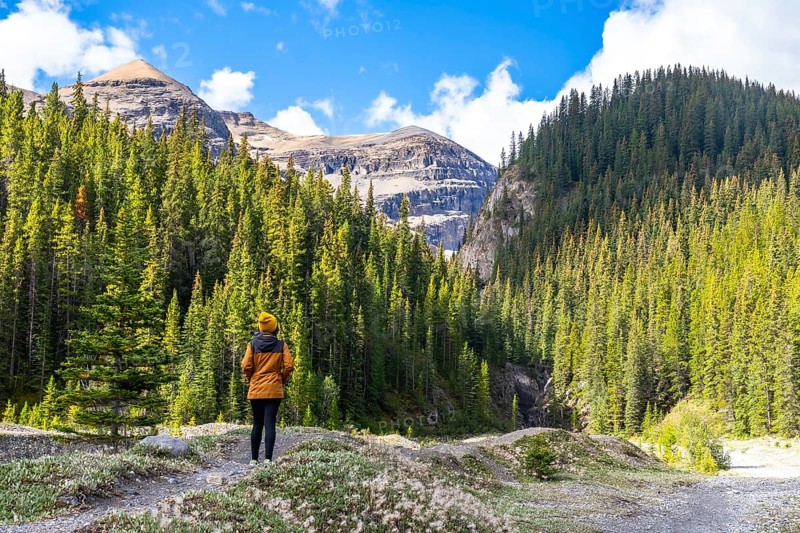 Female hiker admiring the canadian rockies and pine forest along the ci fuentes path waterfall trail on a sunny day in banff national park, alberta