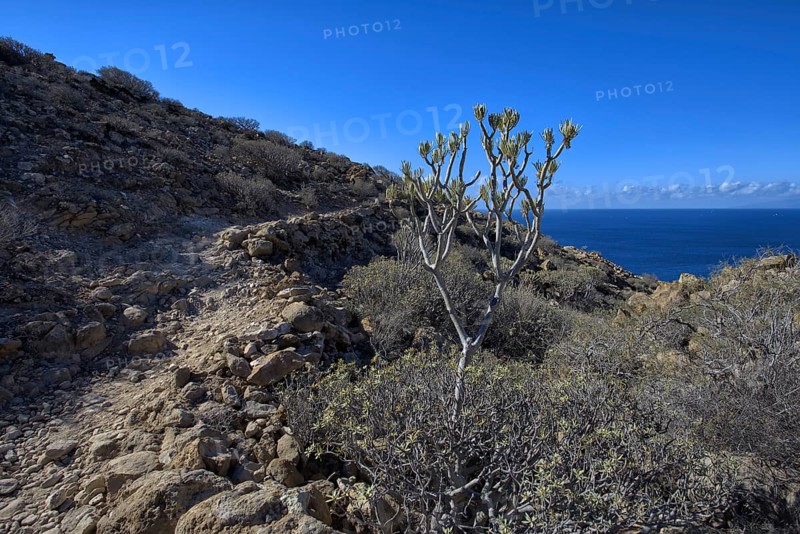 Rocky path along a rocky coast under a bright blue sky, Los Cristianos Tenerife