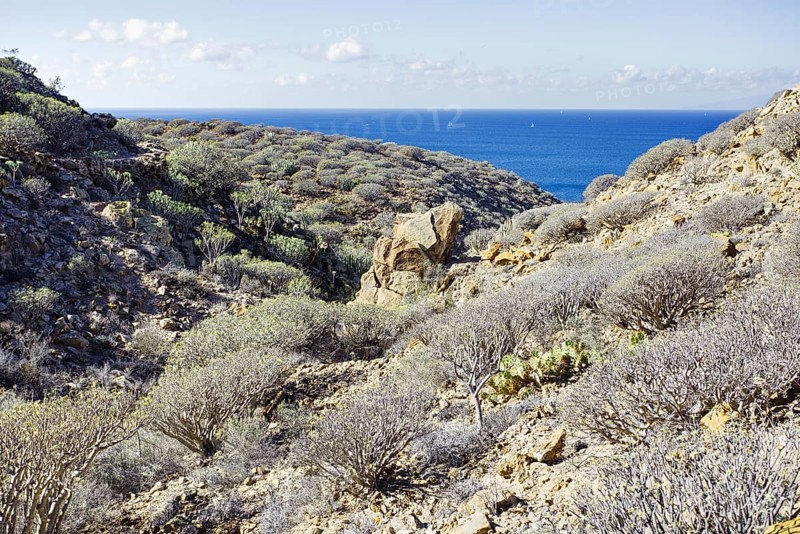 View of lush hillsides and the sea under a clear sky, Los Cristianos Tenerife