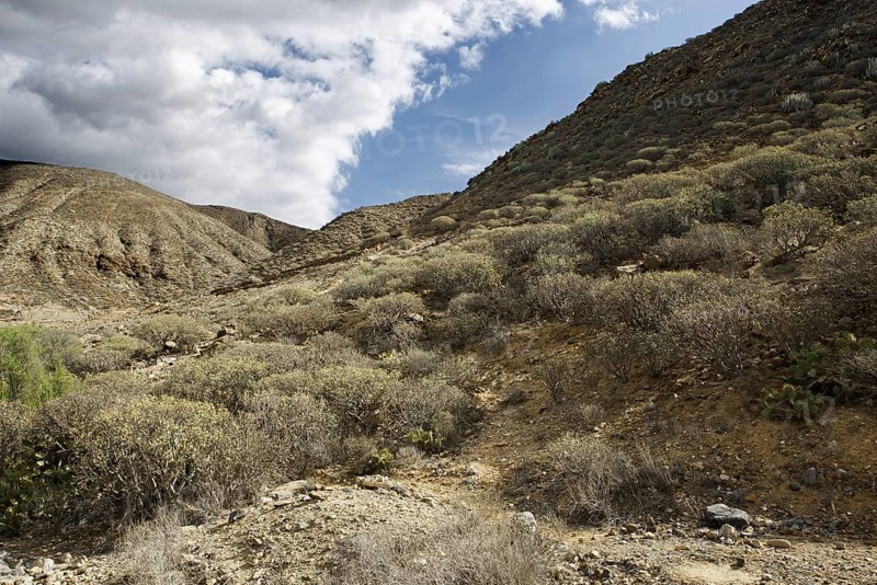 Mountain landscape with low bushes under a sunny, partly cloudy sky, Los Cristianos Tenerife