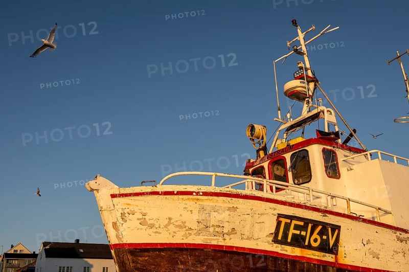 An old fishing boat boat in the warm sunset light with flying seagulls in the sky, Vardø, Finnmark, Norway