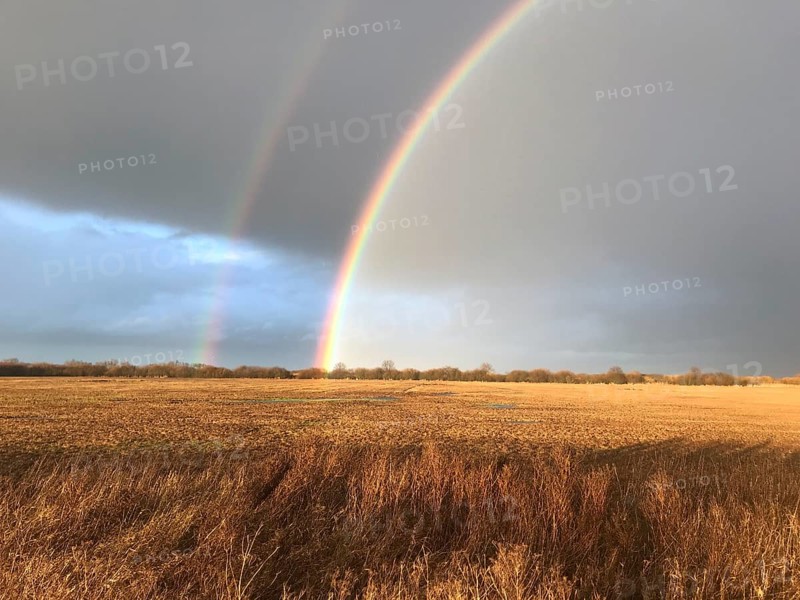 A double rainbow over a brown wet meadow wet grassland under a cloudy sky in warm light, Dümmer nature park Park, Lower Saxony, Germany