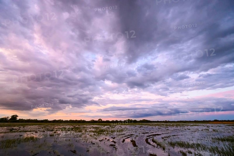 Dramatic cloud atmosphere over flooded wetlands with wind turbines in the background and bright shades of orange and blue in the sky, Dümmer nature park Park, Lower Saxony, Germany