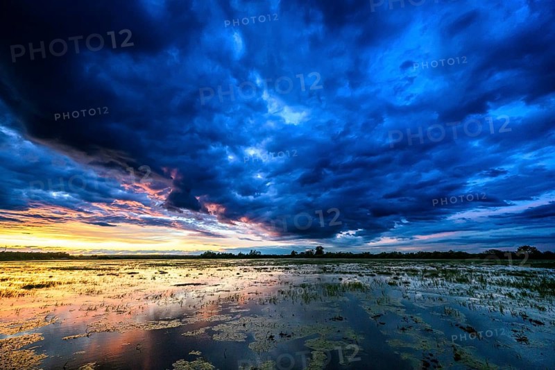 Dramatic sunset over flooded wetlands with wind turbines in the background and bright shades of orange in the sky, Dümmer nature park Park, Lower Saxony, Germany