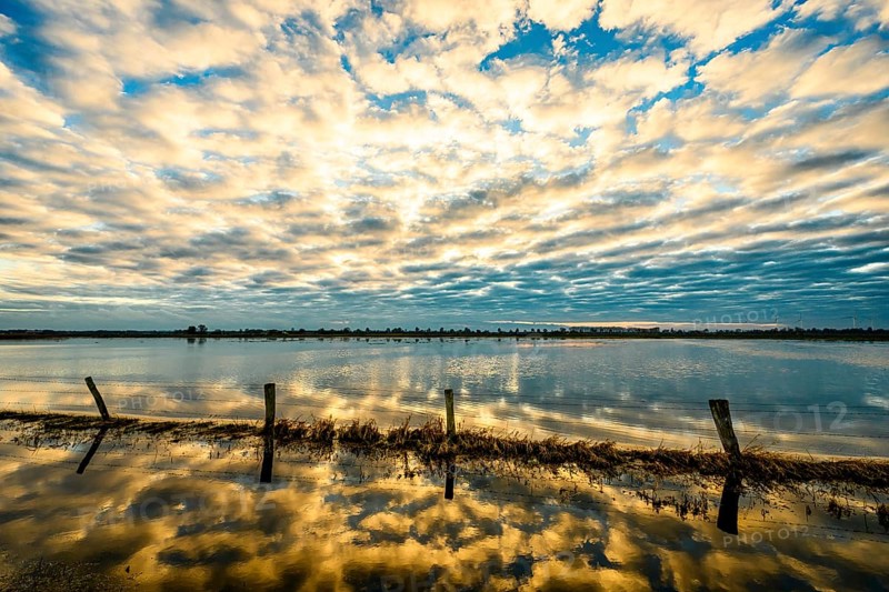 Sky with dramatic clouds is reflected in calm water at sunset, creating a peaceful and impressive atmosphere. Flooded meadows in Ochsenmoor with some reflecting pasture poles in the foreground, Dümmer nature park Park, Lower Saxony, Germany
