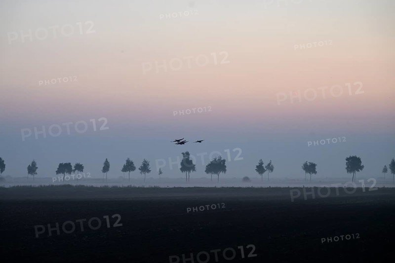 Picturesque landscape at sunset with trees in fog and birds in the sky, Dümmer nature park Park, Bohmte, Lower Saxony, Germany