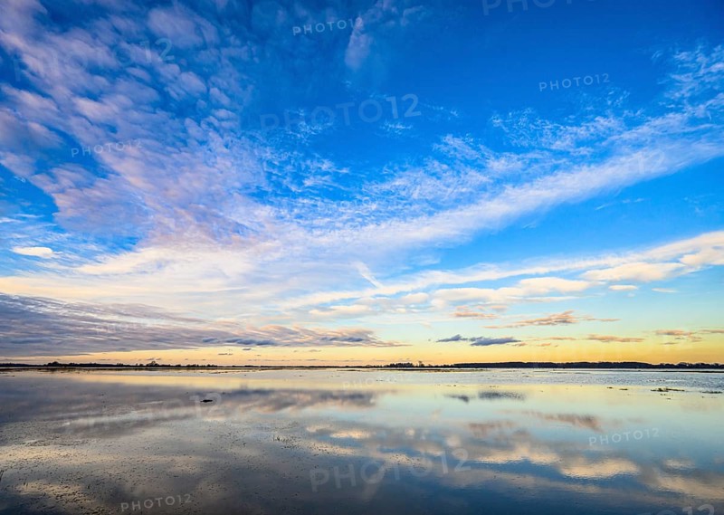 Extensive landscape with blue skies and clouds reflected in the water, soft yellow light on the horizon. Flooded meadows in Ochsenmoor, Dümmer nature park Park, Lower Saxony, Germany