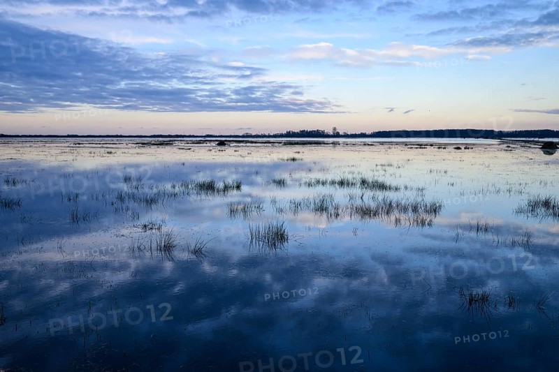 Wide water landscape with cloudy sky at sunset Moist meadows in Ochsenmoor during high tide, Dümmer nature park Park, Lower Saxony, Germany