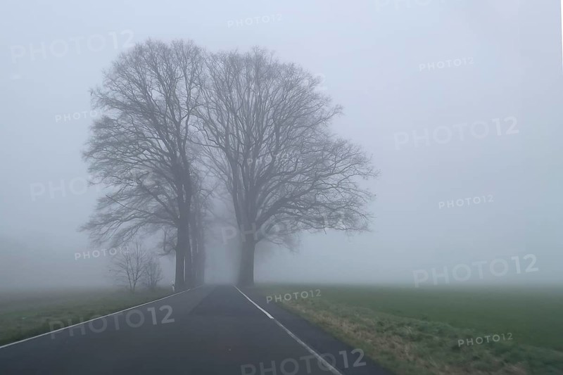 Driver's perspective view of foggy, foggy country road in thick fog in winter, Germany