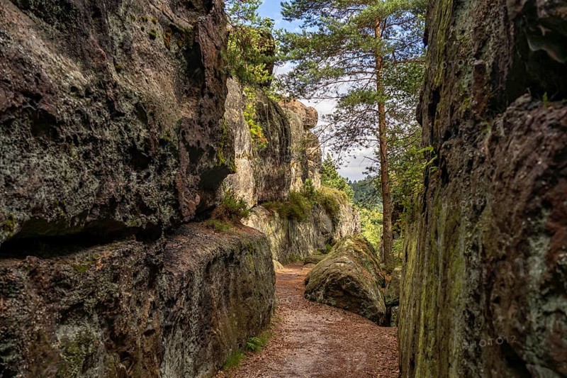 Mühlsteinbrüche hiking area near Jonsdorf in the Zittau Mountains, Upper Lusatia, Saxony, Germany