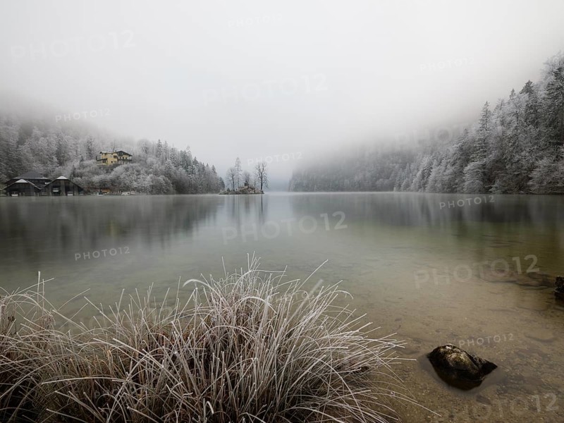 View across Königssee to boathouses, Christlieger island and frozen trees in fog, Schönau am Königssee, Berchtesgadener Land, Upper Bavaria, Bavaria, Germany