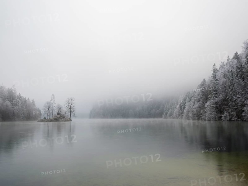 View across Königssee to Christlieger Island and frozen trees in fog, Schönau am Königssee, Berchtesgadener Land, Upper Bavaria, Bavaria, Germany