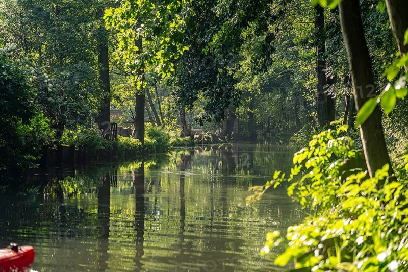 Canal or Spreewaldfließ in the Spreewald near Spreewalddorf Lehde, Lübbenau/Spreewald, Brandenburg, Germany