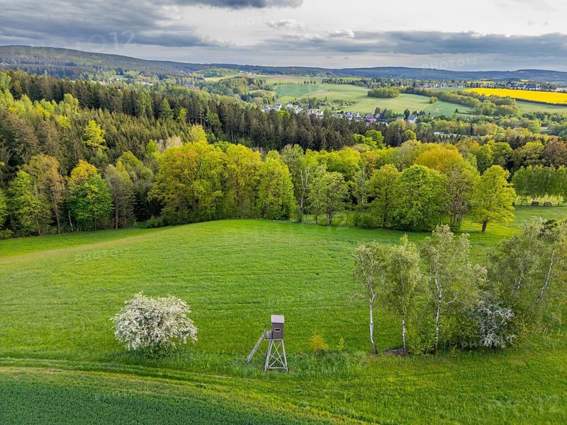 Aerial view, drone photo: Green landscape with trees, raised stand and blooming cherry tree, Rützengrün, Jakobsweg Silberberg, Vogtland, Saxony, Germany