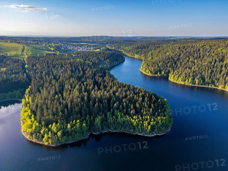 Aerial view, drone photo: spruce forest and beech trees at the Eibenstock drinking water reservoir, Ore Mountains, Saxony, Germany