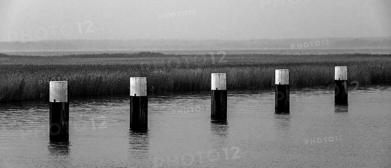 Lagoon landscape at the Meinigenbrücke near Zingst, black and white photo, panorama, Fischland-Darß-Zingst, Western Pomerania National Park, Mecklenburg-Western Pomerania, Germany