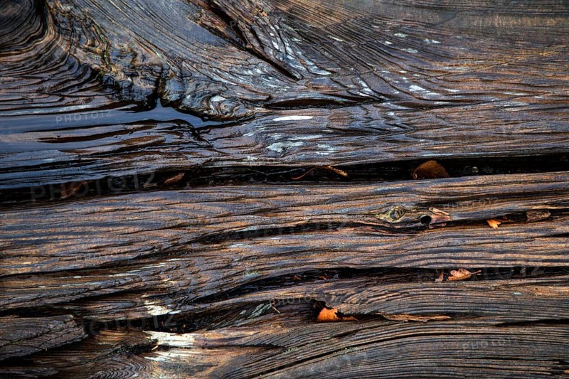 Old weathered railway threshold, detail photo, near Bresewitz station, near Zingst, Mecklenburg-Western Pomerania, Germany
